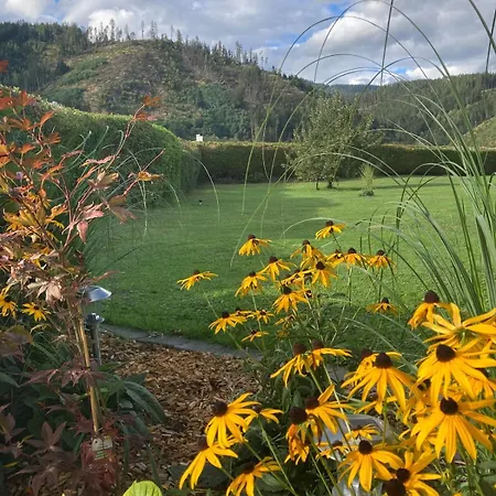 Lenz - Ganzes Mit Privatem Garten * Kaisersberg